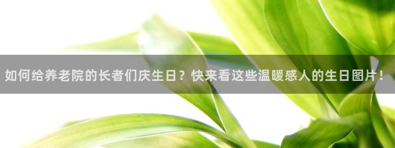 韦德1946国际