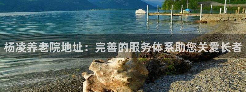 韦德1946下载