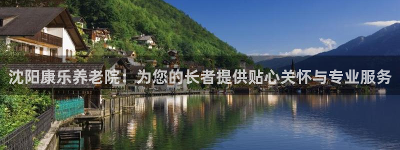 韦德网址是多少