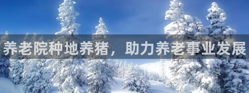 韦德1946网址