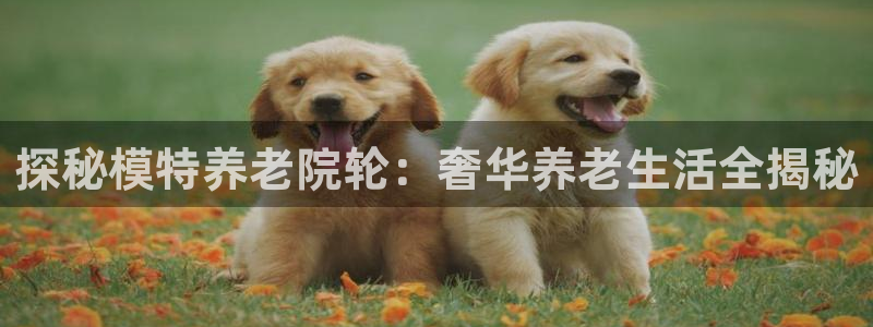 韦德2014