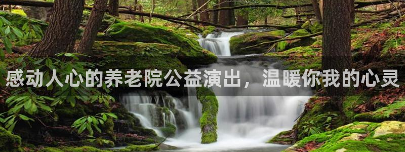 韦德8月22日开启中国行