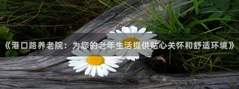 韦德游戏是什么