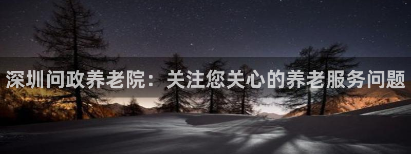 韦德网站是多少