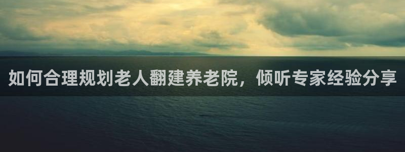 韦德1567