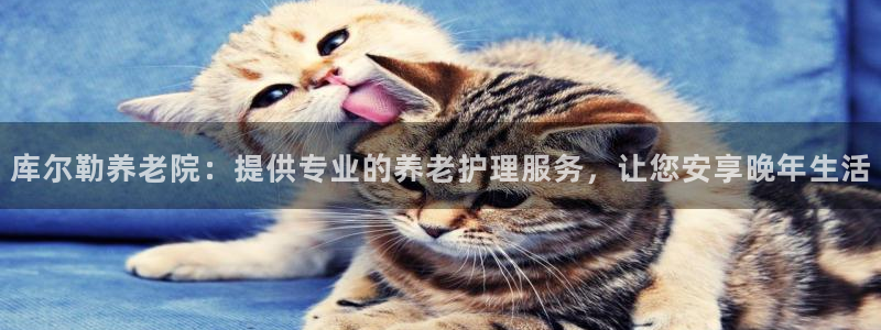 韦德国际体育