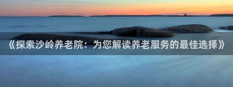 韦德观战总决赛G3
