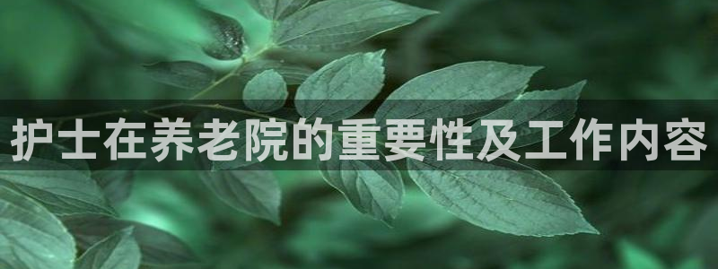 韦德1946国际娱乐