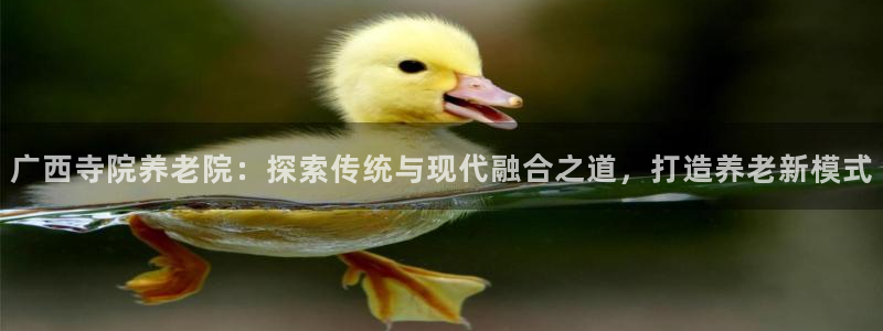 韦德com