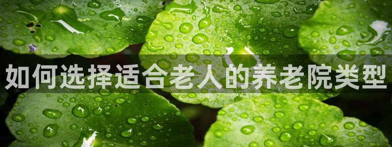 韦德惨案