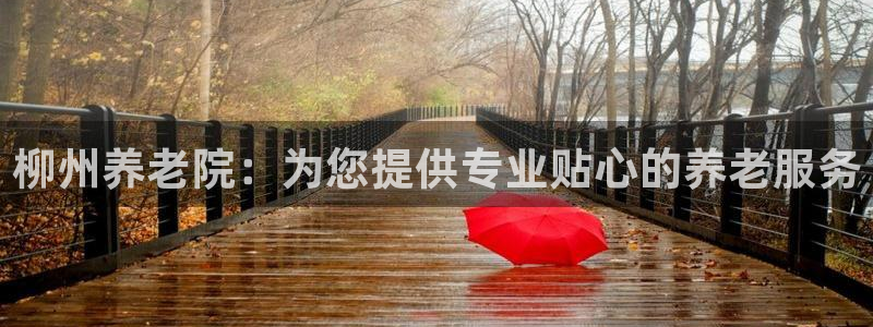 韦德 网址