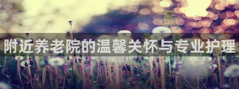 韦德1946国际娱乐