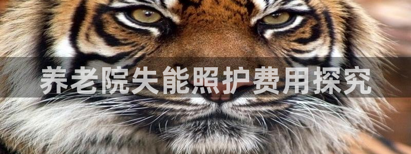 韦德 网址
