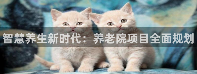 韦德游戏大厅