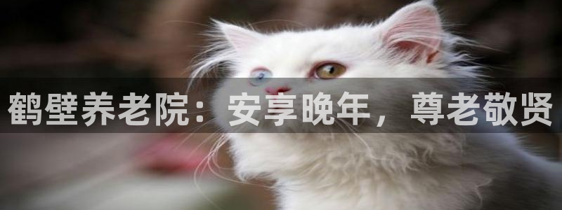 韦德的地位