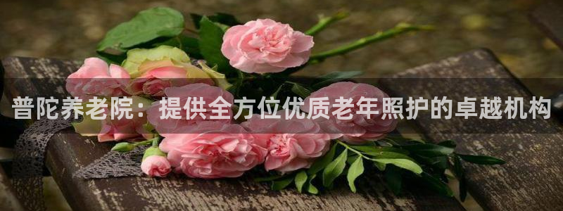 韦德1946体育