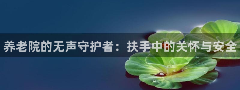 韦德1946游戏