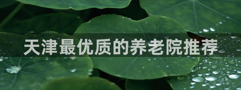 韦德1946始于英国