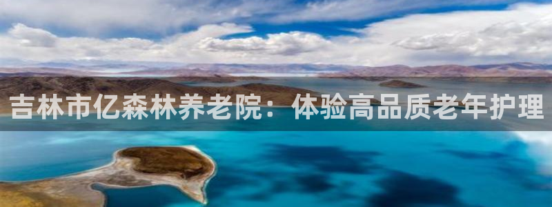 韦德的游戏