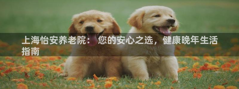 韦德游戏大厅