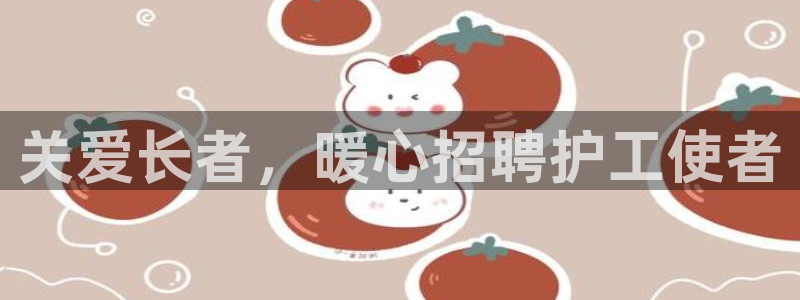韦德网站是多少