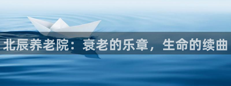 韦德网站是多少