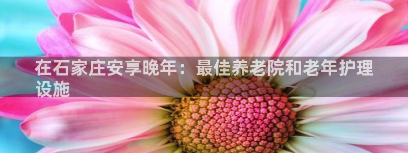 韦德1946备用网站