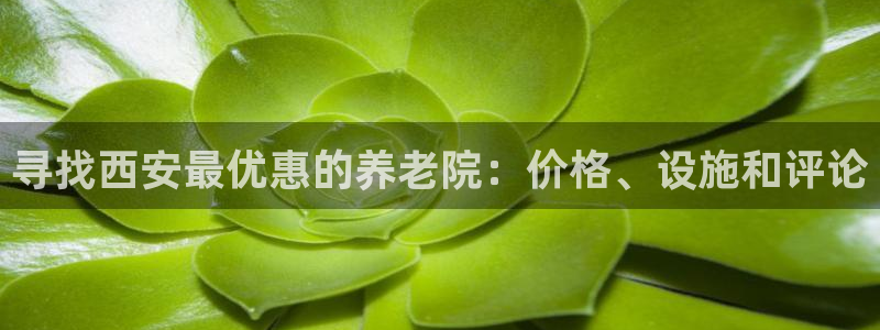 韦德官方网址