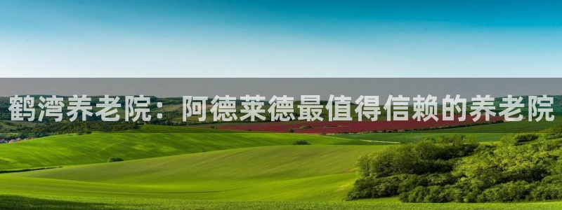 韦德 网址