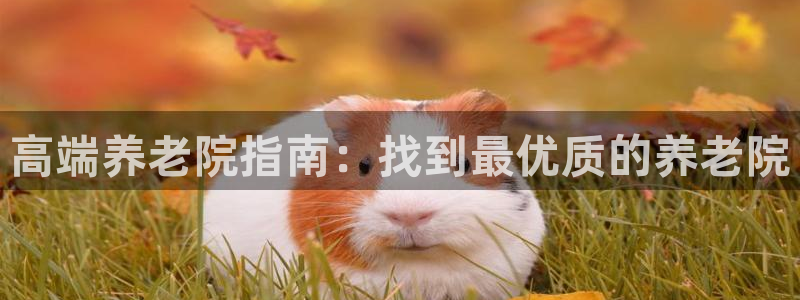 韦德事件