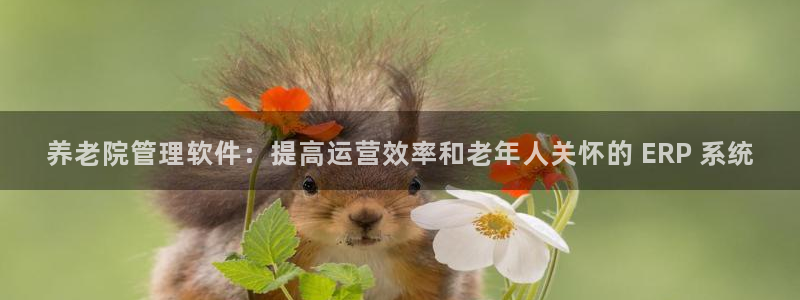 韦德1946体育