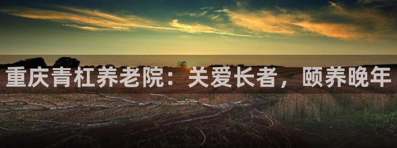 韦德app手机下载