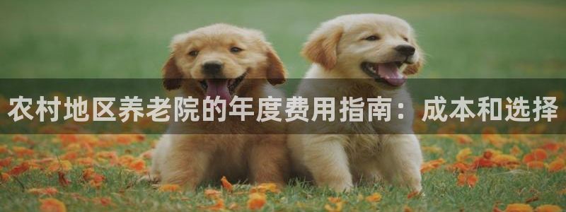 1946韦德游戏