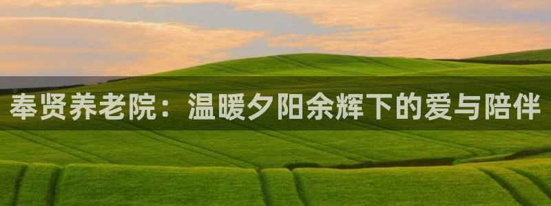 韦德1946bv1946