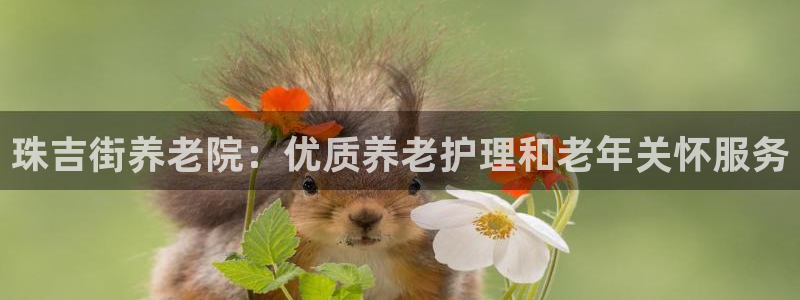 韦德1946官方