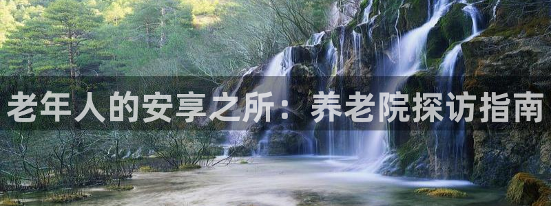韦德是哪个
