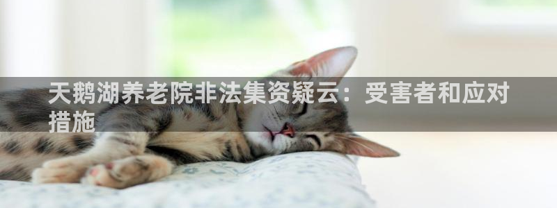 韦德2016