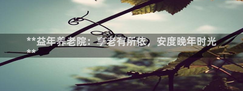 韦德 官网