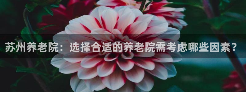 韦德1946源自英国