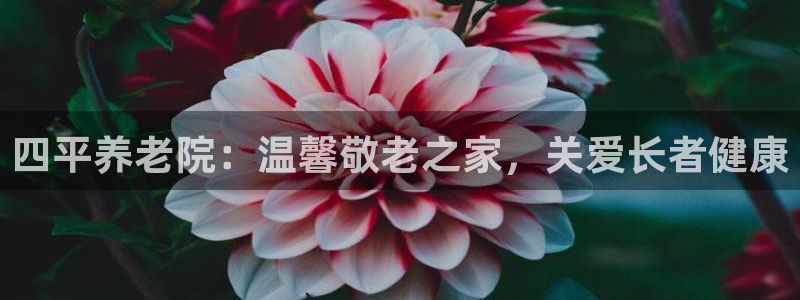 韦德1946备用网站