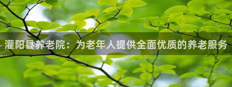 韦德新品