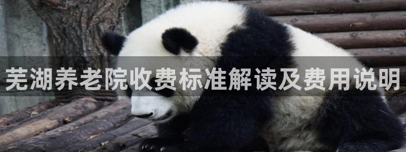 1946韦德官方网站