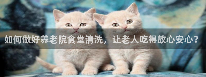 韦德属于什么