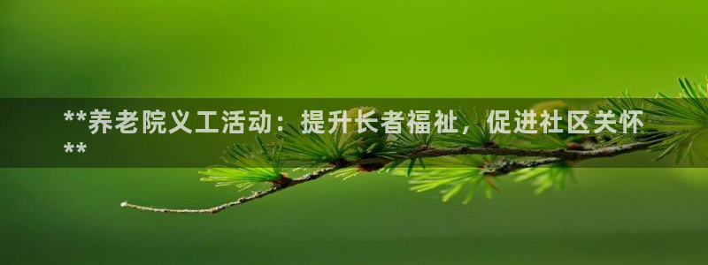 韦德网站是多少