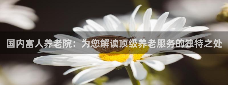 韦德bietview官网