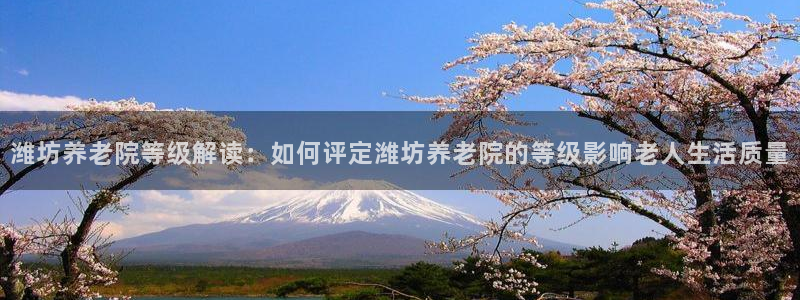 韦德1946客户端