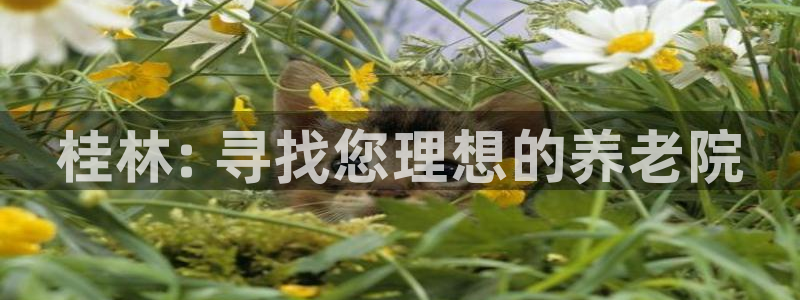 韦德惨案
