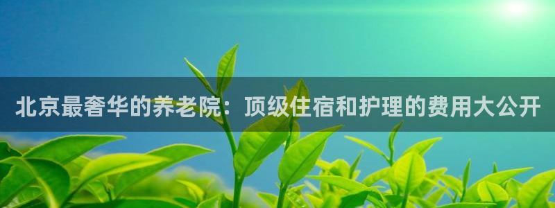 韦德官方网址大全