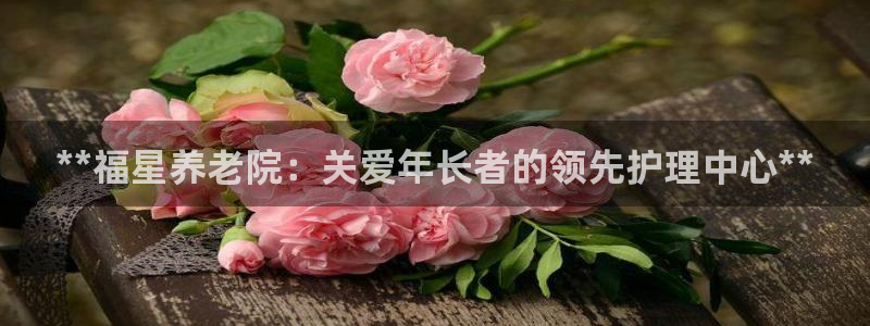 韦德1946体育