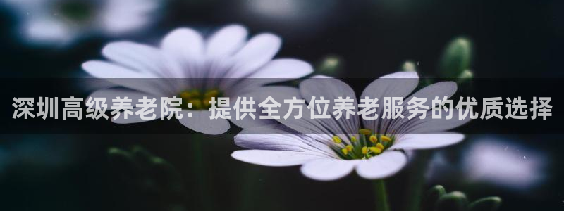 韦德1567